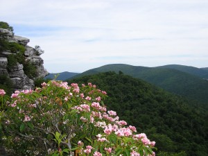 Sue George Communications operates from the beautiful Shenandoah Valley