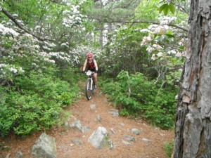 When not writing, Sue George enjoys riding her bike on singletrack, especially when the mountain laurels are blooming.